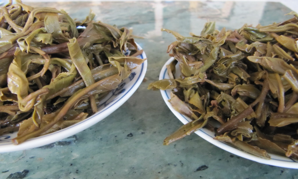 puerh tea leaves